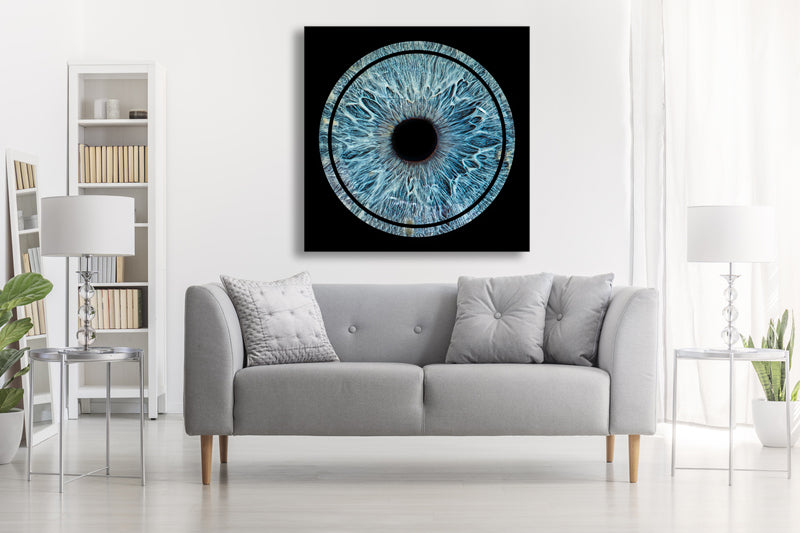 Canvas | Halo
