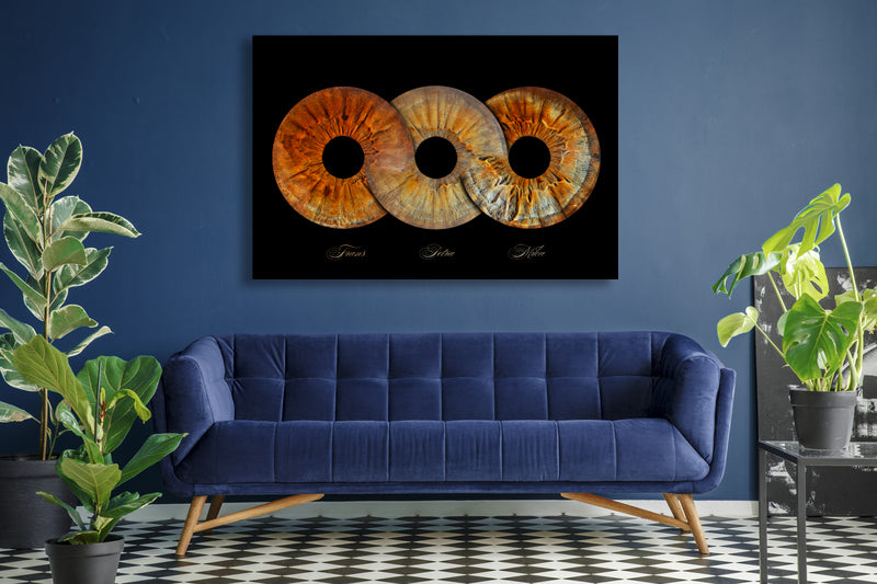 Canvas | Oneindig
