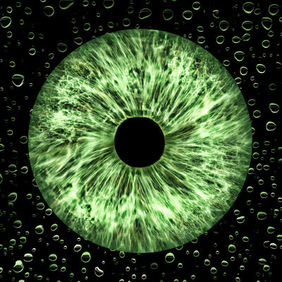 Afbeelding 9 voor 1 Oog
