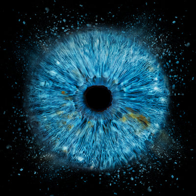 Afbeelding 7 voor 1 Oog