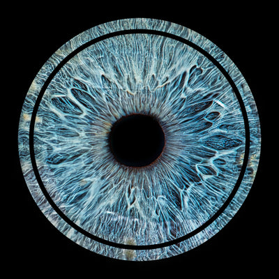 Afbeelding 8 voor 1 Oog