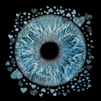 Afbeelding 13 voor 1 Oog