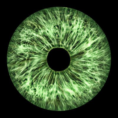 Afbeelding 1 voor 1 Oog