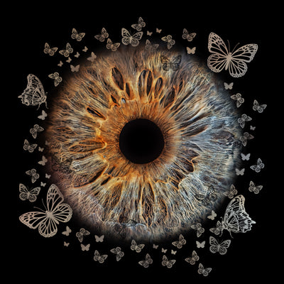 Afbeelding 12 voor 1 Oog