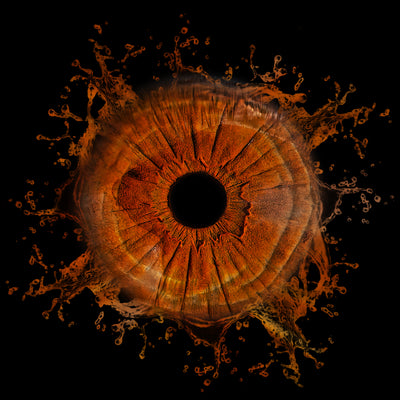 Afbeelding 10 voor 1 Oog